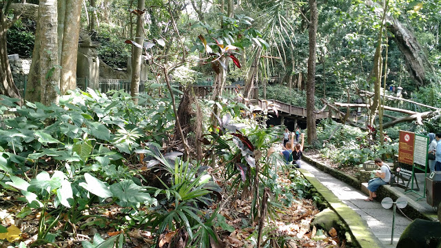 Entrance of the monkey forest