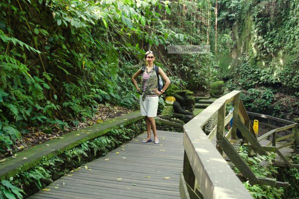 Monkey Forest in Bali