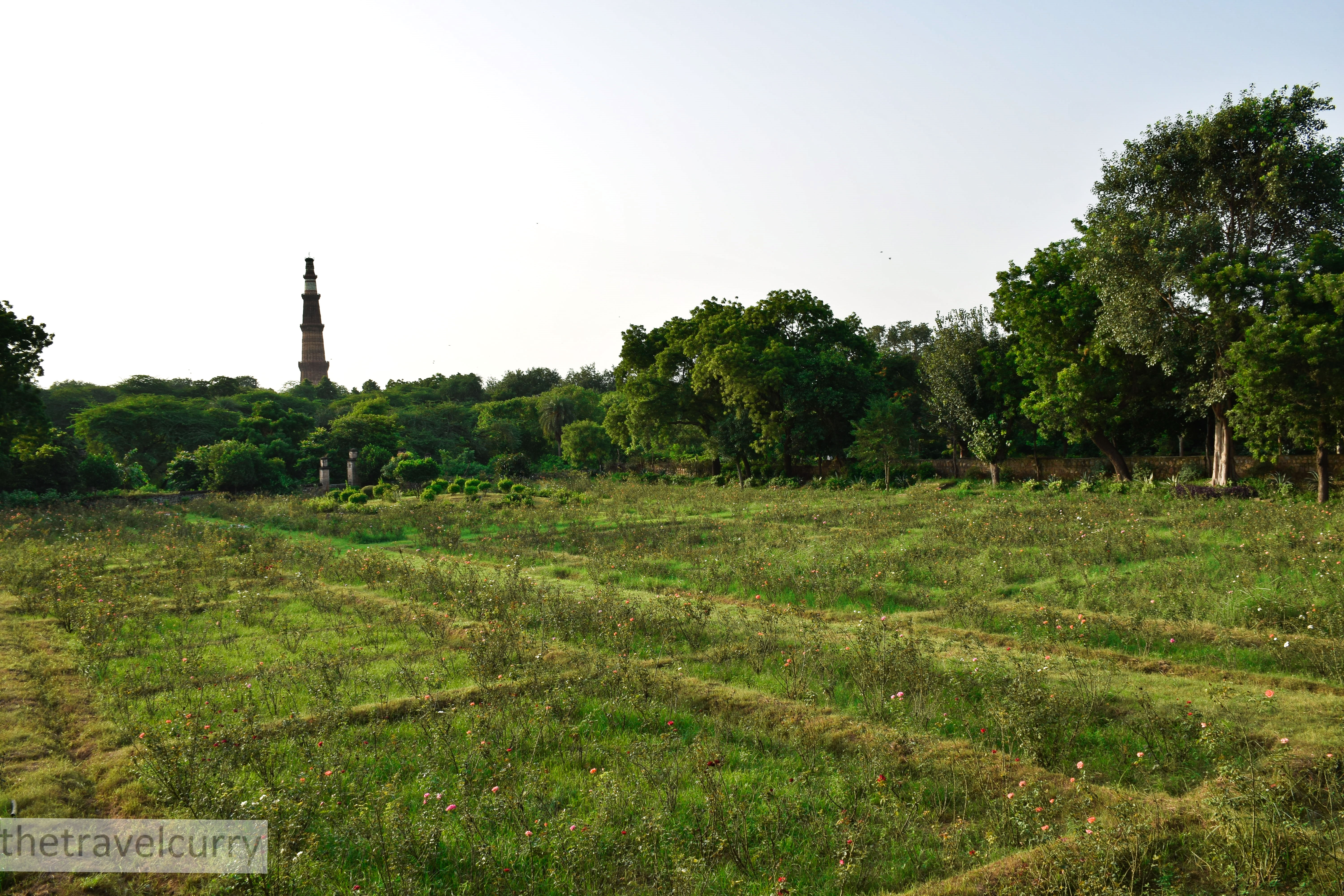View of Qutub Minar from Mehrauli Park's Rose Garden