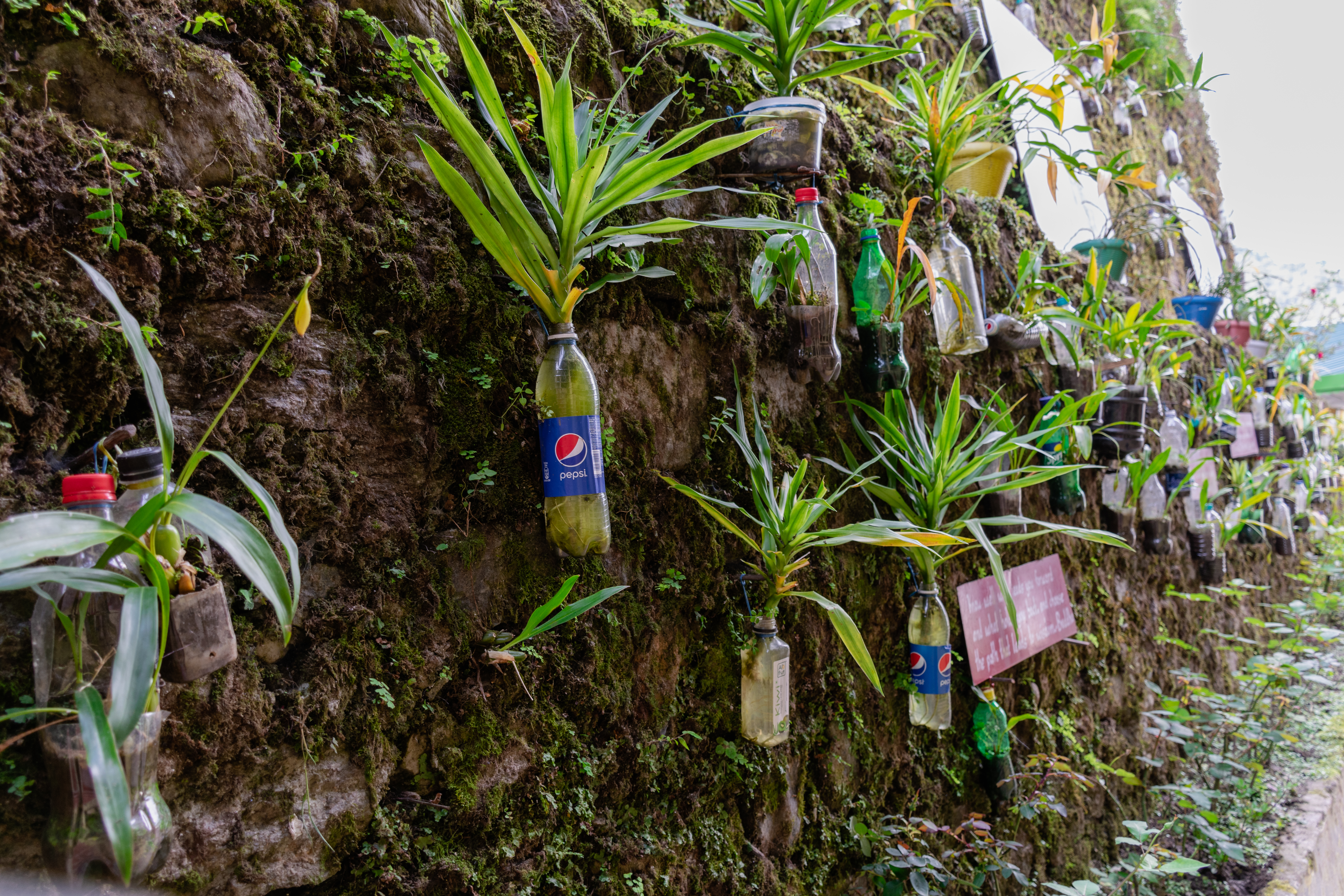 The recylcled garden in Rumtek Monastery, Sikkim
