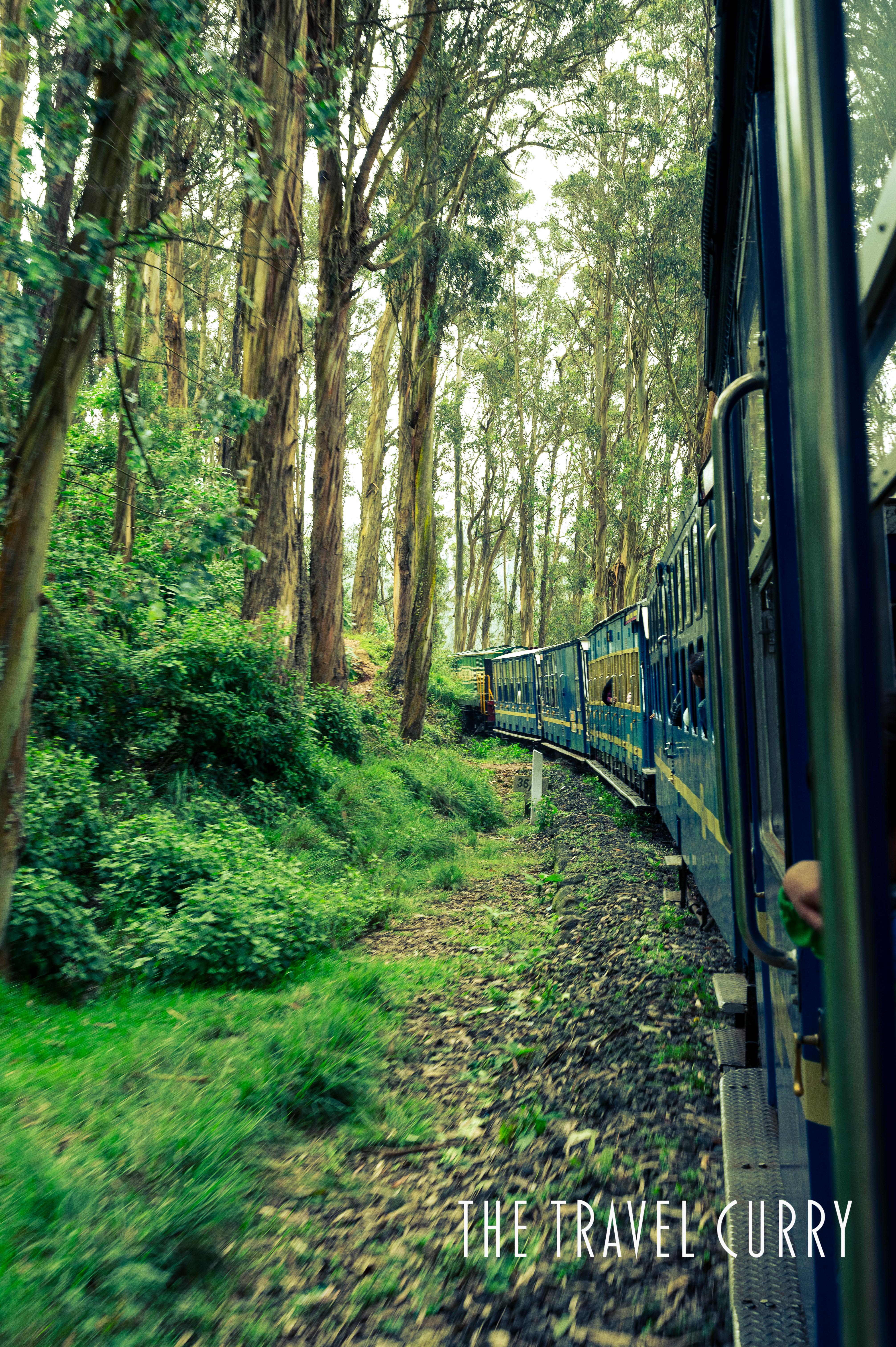Nilgiri Mountain Railways in Coonoor